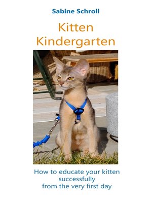 cover image of Kitten Kindergarten